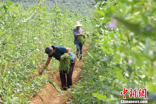 “網(wǎng)紅”小吃柳州螺螄粉熱銷 帶動(dòng)豆角銷路助農(nóng)民增收